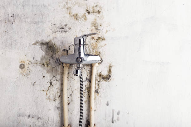 West Sharyland, TX Mold Remediation Company
