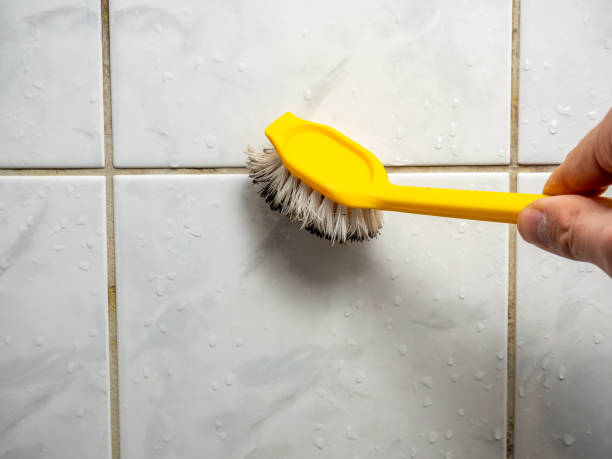 Best Health and Safety Mold Remediation in West Sharyland, TX