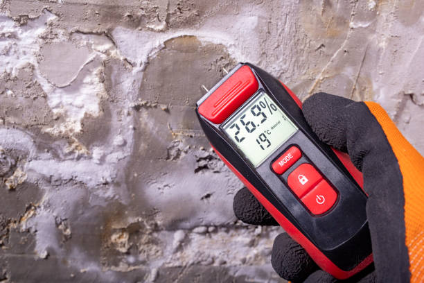 Best Residential Mold Remediation in West Sharyland, TX