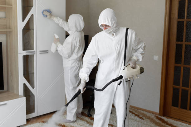 Best Commercial Mold Remediation in West Sharyland, TX
