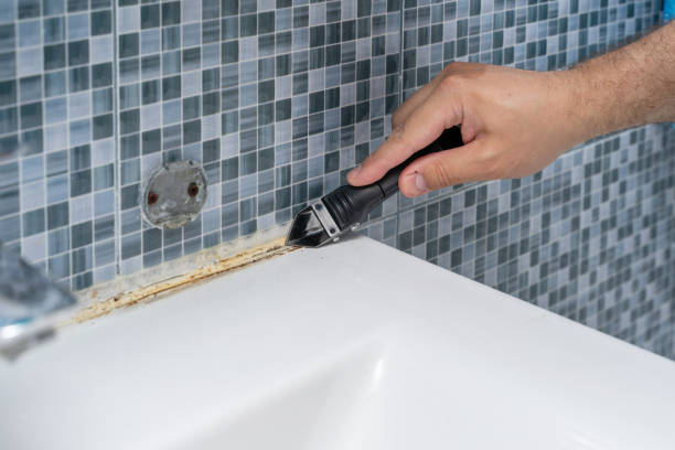 Best Post-Remediation Services in West Sharyland, TX